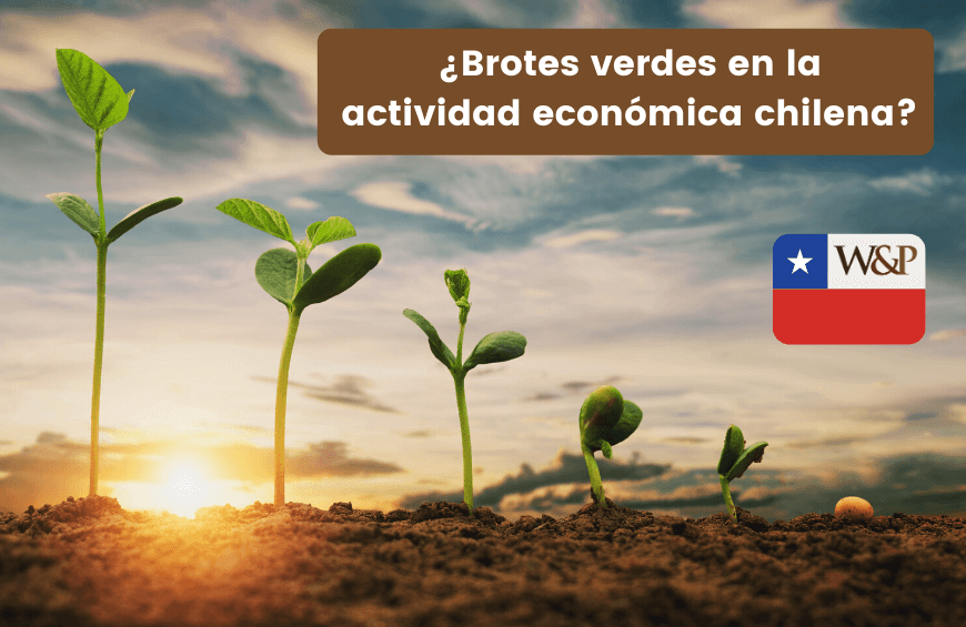 Brotes verdes en la actividad económica chilena