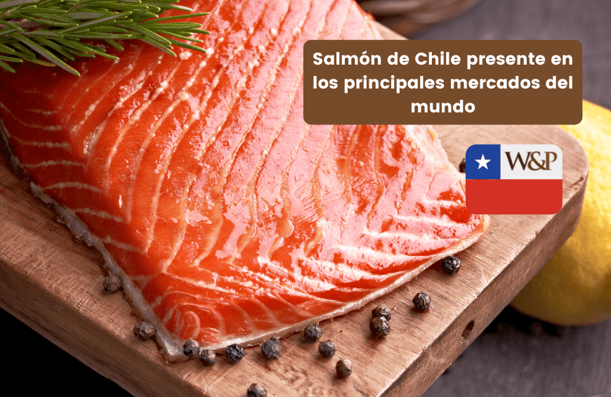 salmon de chile en principales mercados del mundo