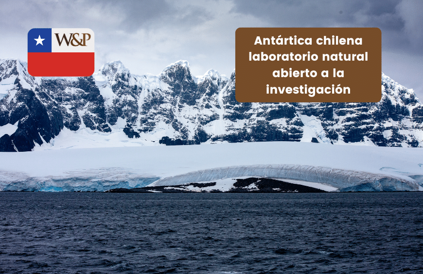 antarticainvestigacion