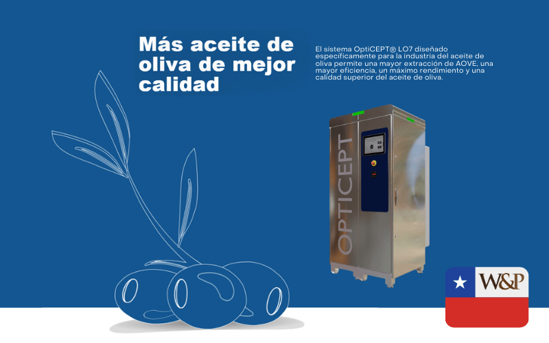 AceiteOliva2